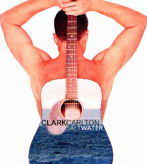 Saltwater Cover and link to purchase information