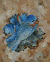 NestingBlues.jpg (29961 bytes)